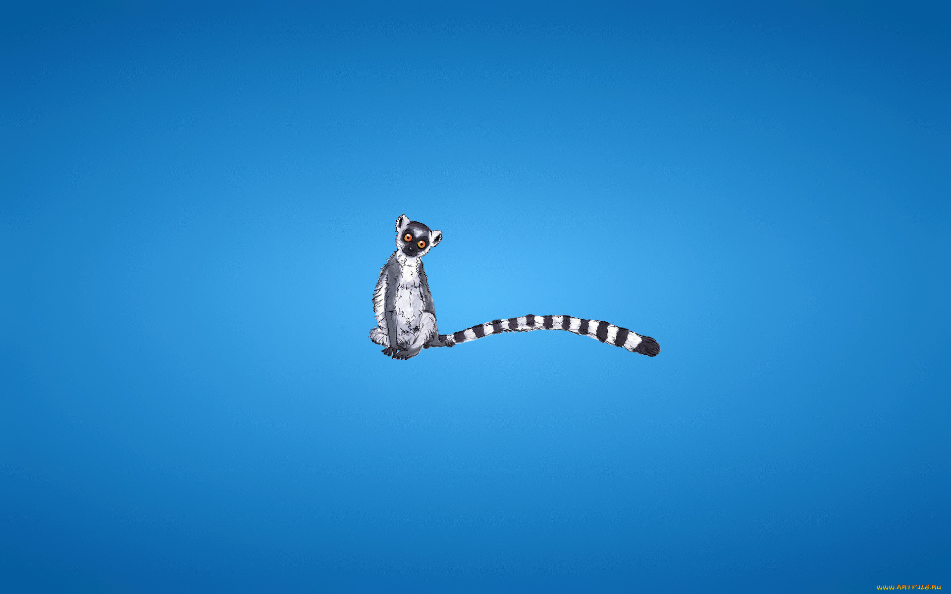 , , lemur, , , , , 